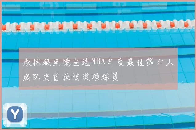 森林狼里德当选NBA年度最佳第六人成队史首获该奖项球员